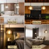 Terrena Crystal Hemisphere Pendant Light - 4 of 4