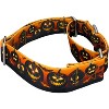 Country Brook Petz 1 1/2 Martingale Dog Collar - Halloween Collection - 3 of 4