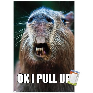 Trends International Capybara - Pull Up Unframed Wall Poster Prints - 1 of 4