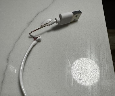 Guest review image 1 of 1, zoom in