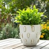 Home Decor Ceramic Planter and Flower Pot - Indoor or Outdoor Use - Unique Design That Elevates Room, Garden, Patio, or Shelf Decor - 3 of 4
