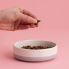 Mason Cash: Speckle Dip Cat Bowl, 5.1", 9.3oz, Lilac, Cream, Food & Water Dish - 2 of 4