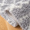 Arizona Shag ASG741 Power Loomed Indoor Rugs - Safavieh - 4 of 4