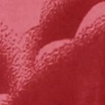 blue flamingo turquoise