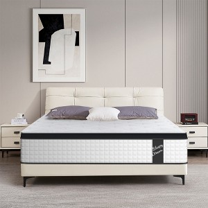 Dolonm 12 Inch Hybrid Mattress, Cool Memory Foam & Pocket Springs, Medium-Firm, OEKO-TEX Certified, Motion Isolation, Euro Top, Bed in a Box - 1 of 4