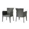 Outdoor Dining Chairs Set of 2, Wicker Patio Dining Chairs with Metal Legs for Balcony, Garden-Tanpinhause - 3 of 4