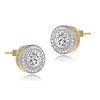 Chic Round Halo Stud Earrings Showcasing Clear Cubic Zirconia, Perfectly Designed to Add a Touch of Classic Elegance and Sparkle to Any Outfit - 2 of 4