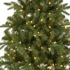 National Tree Company Pacific Mixed Pine 7.5-ft. Pre-Lit Artificial Christmas Tree - 2 of 3