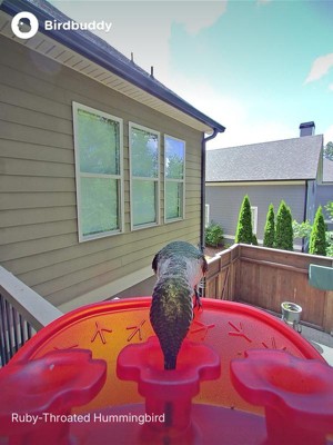 Guest review image 2 of 6, zoom in