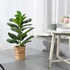 Artificial Fiddle Leaf Fig Plants 22''-39'' Fake Ficus Lyrata Plant , Perfect for Home Indoor Outdoor Office Modern Decor - 2 of 4
