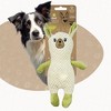 ZippyPaws for Dogs, Densely Woven Squeaky Dog Toys with Built in Squeak, Long-Lasting and Durable Dog Toys, Recycled Plush Dog Squeaky Toys - 2 of 4