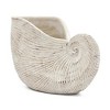 NAYSAYE Decorative Cement Nautilus Shell Planter Coastal Beach Style Pot for Living Room, Beige, 11.5"*6.7"*7.7" - 2 of 4