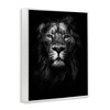 Stupell Industries Lion In Shadows Photography Framed Giclee Art - 2 of 4