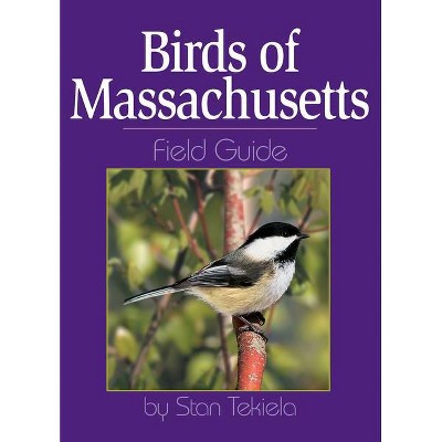 Birds of Massachusetts Field Guide - (Bird Identification Guides) by  Stan Tekiela (Paperback)