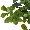 Artificial Black Olive Tree,5Ft Tall Faux Olive Tree in Pot with 3 Tier,Fake Plants for Indoor Living Room Office Decor&Housewarming Gift - 4 of 4