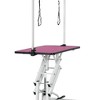 YOOCOZZ 42.5'' Adjustable Heavy Type Hydraulic Pet Dog Grooming Table (Upgraded) with Adjustable Arm and Noose-Pink - 4 of 4