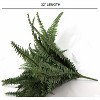 Floral Home 48" Boston Fern with 88 Lush Fronds - 2-Piece - 3 of 4