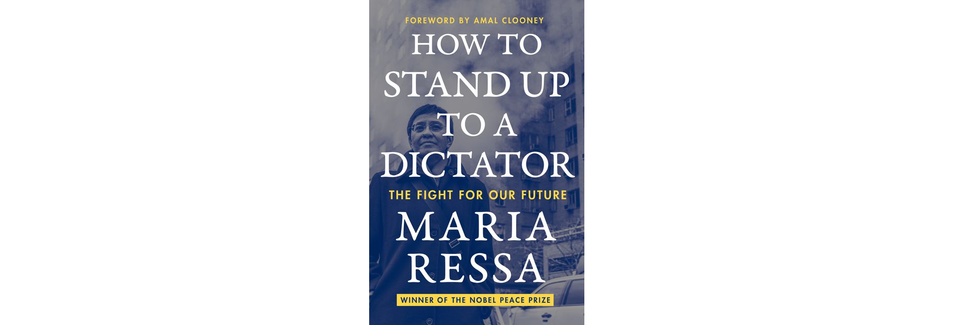 How to Stand Up to a Dictator - by  Maria Ressa (Paperback)
