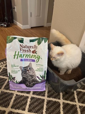 Guest review image 2 of 3, zoom in