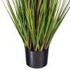 Green/Burgundy Flax Grass Potted - 3 of 4