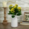 Allstate Floral 13.5" Kalanchoe Artificial Floral Bush - 2 of 4