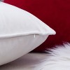 Gulches "Let It Snow" White Velvet Lumbar Pillow,14x20 with Insert, Winter Sofa Accent with Frosted Berries Trim - 2 of 4