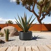 Okak Corten Steel Raised Garden Bed Kit 12/20x15.5 Inch Heavy Duty Round Metal Planter for Vegetables, Herbs - 2 of 4