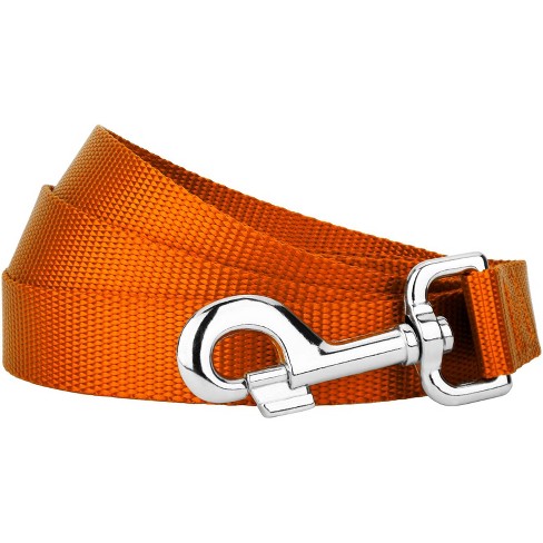 Country Brook Petz® 5/8 Inch Nylon Dog Leash - Orange, 6 Foot : Target