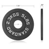 Philosophy Gym Set of 2 Cast Iron Olympic 2-inch Weight Plates - 3 of 4