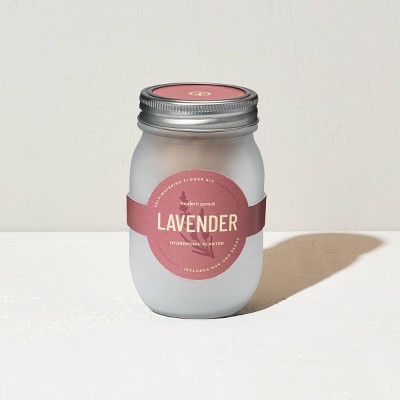 Modern Sprout Pint Jars Flower Garden Seed Kits - Lavender