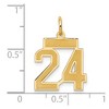 Black Bow Jewelry 14k Yellow Gold, Jersey Collection, Small Number 24 Pendant - 4 of 4