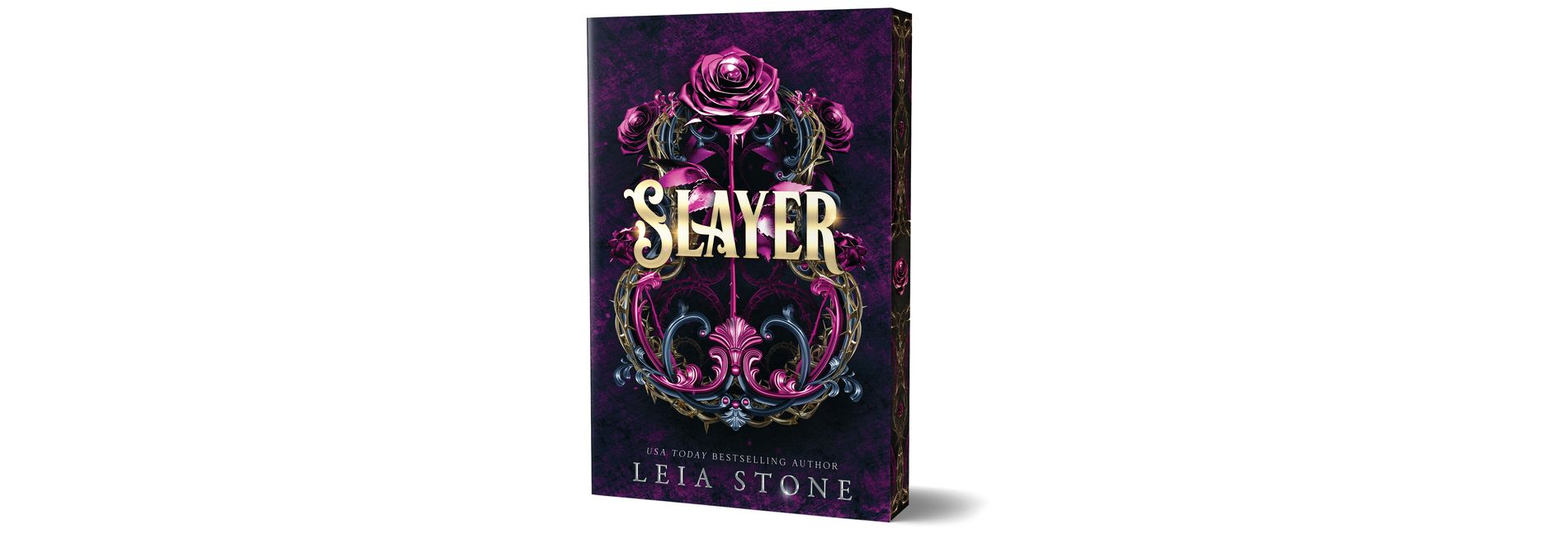 Slayer (Deluxe Edition) - by  Leia Stone (Paperback)
