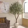 Dr.Planzen 7ft Artificial Olive Tree in White Planter - Faux Olive Tree for Indoor/Outdoor D¨¦cor, Fake Plant with Realistic Green Branches - 2 of 4