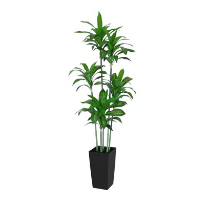 6FT Dracaena Draco Artificial Dragon Tree Realistic Dracaena Fragrans Faux Tree with Black Pot for Home Office Indoor Outdoor Decor