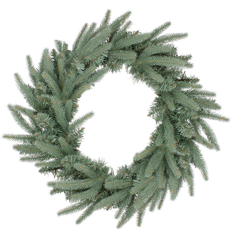Northlight Real Touch™️ Pre-Lit Washington Frasier Fir Artificial Christmas Wreath - Unlit - 24", 1 of 7