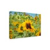 Trademark Fine Art - Carrie Ann GrippoPike Sweet Sunflower Kiss Canvas Art - 4 of 4