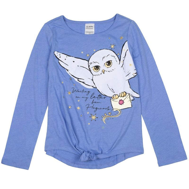 Harry Potter Hogwarts Hedwig Owl 2 Pack Ruffle T-Shirts Maroon / Blue , 3 of 8