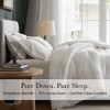 Harbor House Living 100% Cotton Solid Color Comforter, Premium 400 TC Sateen Face Lightweight White Goose Down Filling Comforter - 3 of 4