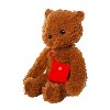 Manhattan Toy Imaginaries Bear 12" Children's Picture Book Stuffed Animal Companion - 2 of 4