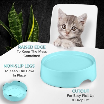 Aruba Blue Elevated Cat Feeder with Non-Slip Base