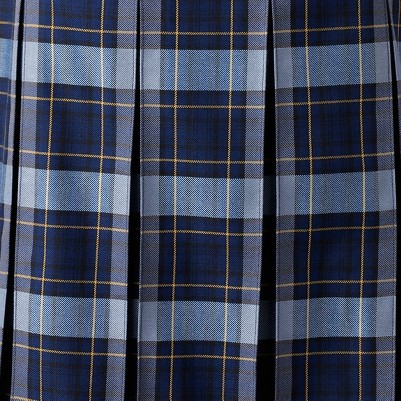 classic navy plaid
