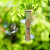 Snynuxx Metal Bird Feeder Tube Hanging Wild Bird Seed Feeder,Steel Hanger Great for Attracting Birds (Bronze) - 3 of 4