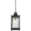 Savoy House Dunnmore 1 - Light Pendant in  Black - 2 of 4