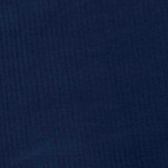 indigo blue