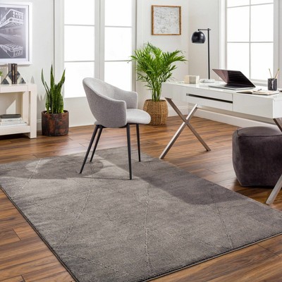 Hauteloom Aldis Charcoal Washable Area Rug