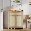 Acekool Modern Rattan Shoe Cabinet, 32" Boho Organizer with Drawer, Doors, Adjustable Shelf, Accent Table for Entryway, Hallway, Oak - 4 of 4