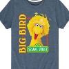 Boys' - Sesame Street - Big Bird Photo Short Sleeve Graphic T-Shirt - 2 of 4