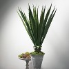 Sullivans Artificial Potted Agave 54"H Green - 3 of 4