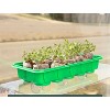 Window Garden Mini Greenhouse Seed Starter Kit - 3 Pack - 2 of 4