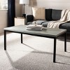 Dennis Coffee Table - AMH6588B - Ash Grey - Safavieh Couture - 2 of 4